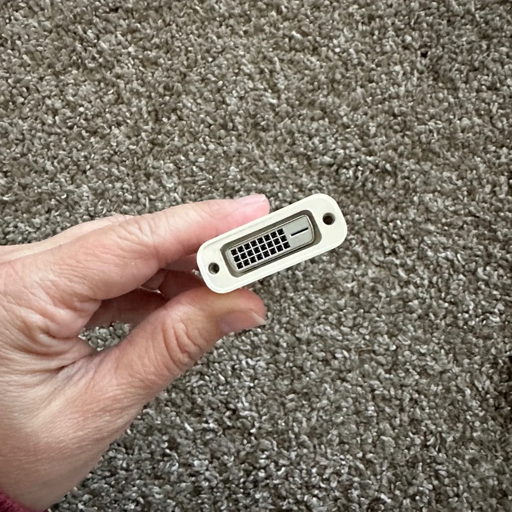 Apple Mini DisplayPort to DVI Adapter